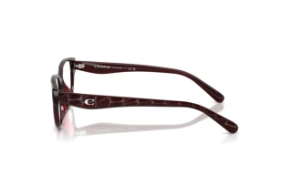 Sidevisning Coach HC6279D (5915)