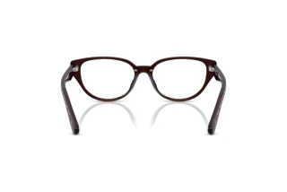 Bagside Coach HC6279D (5915)