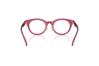 Bagside Coach HC6280D (5824)