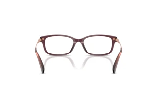 Bagside Coach HC6287U (5942)