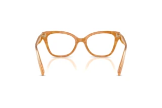 Bagside Coach HC6290U (5939)