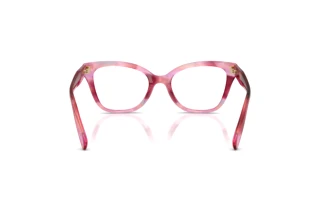 Bagside Coach HC6290U (5941)