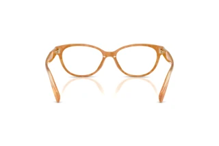 Bagside Coach HC6293U (5939)