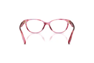 Bagside Coach HC6293U (5941)