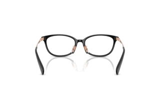 Bagside Coach HC6295D (5002)