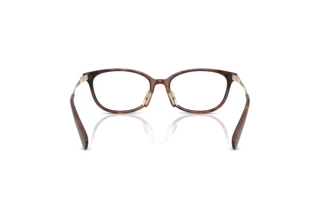 Bagside Coach HC6295D (5120)