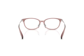 Bagside Coach HC6295D (5677)