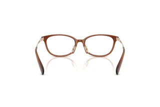 Bagside Coach HC6295D (5888)