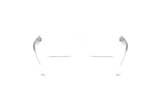 Bagside Diesel DL4002 (2005)