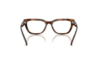 Bagside Diesel DL4003 (2021)