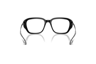 Bagside Diesel DL4009 (2001)