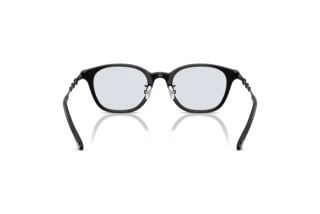 Bagside Diesel DL4013D (2062)