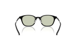 Bagside Diesel DL4013D (2063)