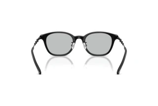 Bagside Diesel DL4013D (2064)