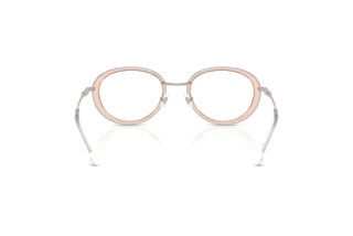 Bagside Diesel DL5010 (1042)