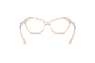 Bagside Diesel DL6003U (2034)