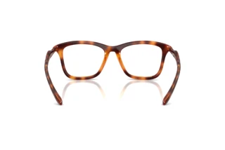 Bagside Diesel DL6004U (2003)