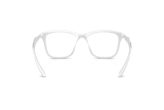 Bagside Diesel DL6004U (2029)