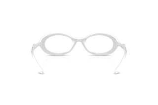 Bagside Diesel DL6005U (2031)