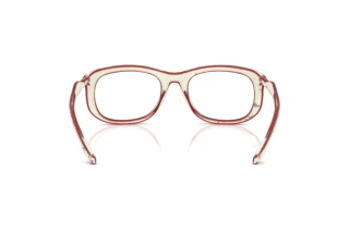 Bagside Diesel DL6006U (2010)