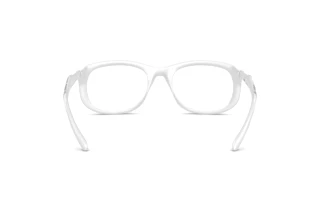 Bagside Diesel DL6006U (2029)