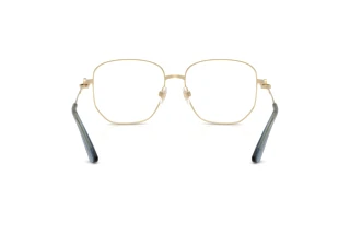 Bagside Dolce & Gabbana DG1356 (488)