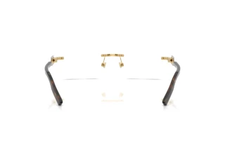 Bagside Dolce & Gabbana DG1361 (02)