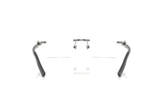 Bagside Dolce & Gabbana DG1361 (04)