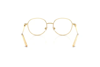 Bagside Dolce & Gabbana DG1365 (02)