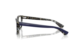 Sidevisning Dolce & Gabbana DG3380 (3423)