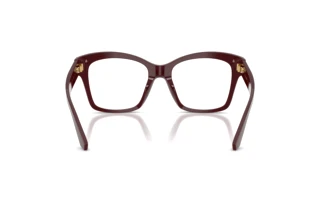 Bagside Dolce & Gabbana DG3419 (3091)