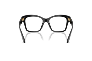 Bagside Dolce & Gabbana DG3419 (501)