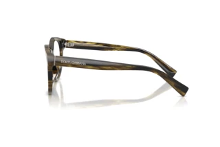 Sidevisning Dolce & Gabbana DG3421 (3066)