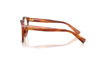 Sidevisning Dolce & Gabbana DG3421 (3221)