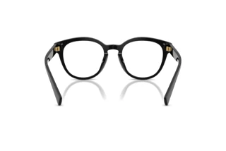 Bagside Dolce & Gabbana DG3421 (501)