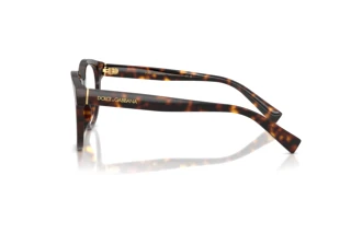 Sidevisning Dolce & Gabbana DG3421 (502)