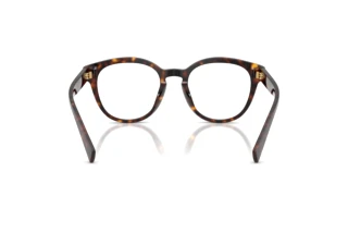Bagside Dolce & Gabbana DG3421 (502)