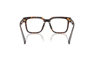 Bagside Dolce & Gabbana DG3422 (502)