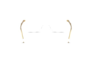 Bagside Dolce & Gabbana DG3424 (3133)