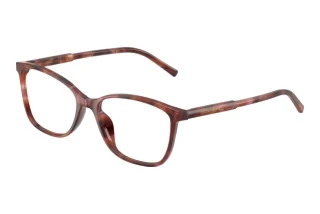 Forfra Dolce & Gabbana DG3424 (3444)
