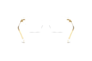 Bagside Dolce & Gabbana DG3428 (3133)