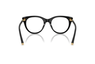 Bagside Dolce & Gabbana DG3433 (501)