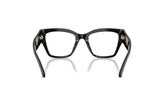 Bagside Dolce & Gabbana DG3435B (501)