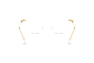 Bagside Dolce & Gabbana DG3438 (3133)