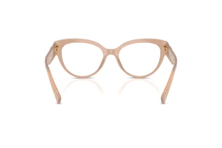 Bagside Dolce & Gabbana DG3440 (3042)