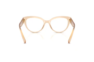 Bagside Dolce & Gabbana DG3440 (3089)