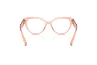 Bagside Dolce & Gabbana DG3440 (3384)