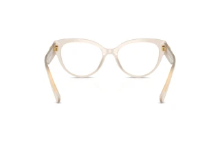 Bagside Dolce & Gabbana DG3440 (3420)