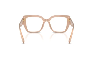 Bagside Dolce & Gabbana DG3441 (3042)