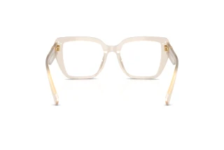 Bagside Dolce & Gabbana DG3441 (3420)